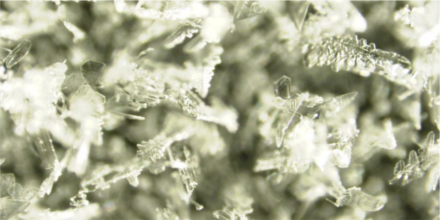 Frost