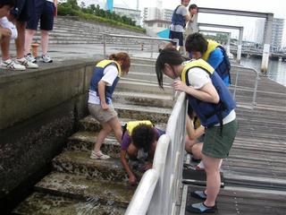 2006-09-26 17:24:41