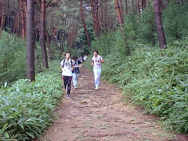 wpe3B.jpg (53818 バイト)